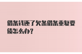 沂源为什么选择专业追讨公司来处理您的债务纠纷？